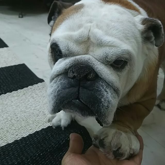 AandPさんの実例写真