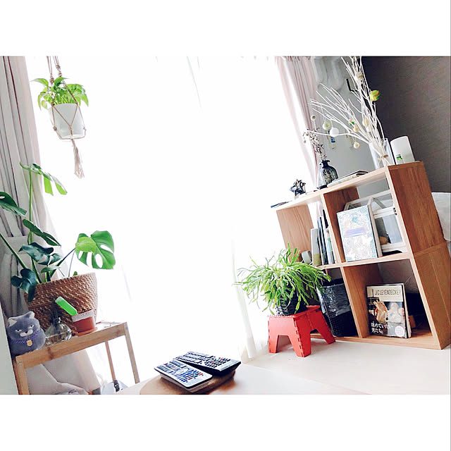 shiさんの実例写真