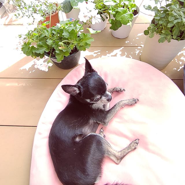 Bienvenueさんの部屋