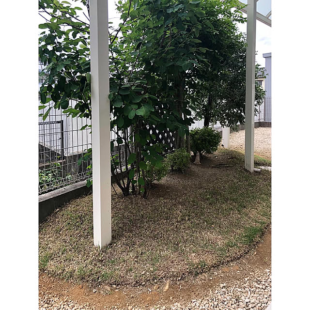nono.0129さんの実例写真