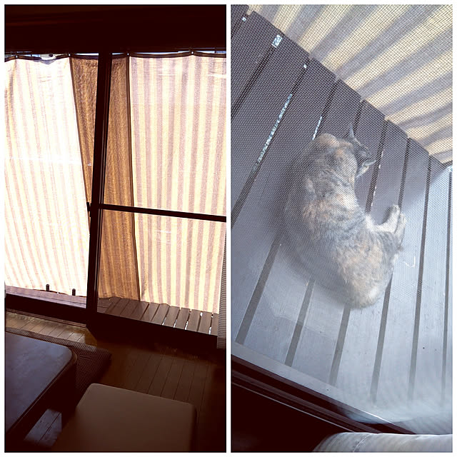 mihomihoさんの実例写真