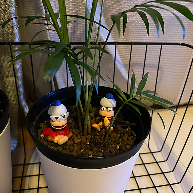 部屋全体/サルゲッチュ/テーブルヤシ/観葉植物/100均...などのインテリア実例 - 2024-12-15 18:51:36