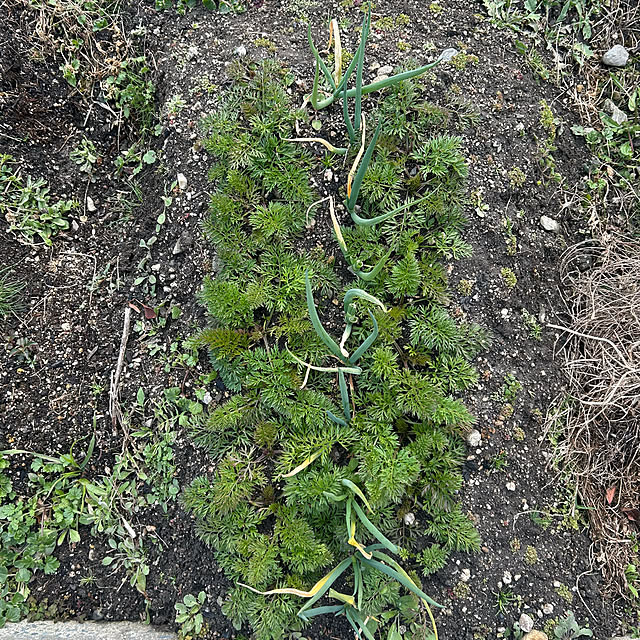 ritsukoさんの部屋