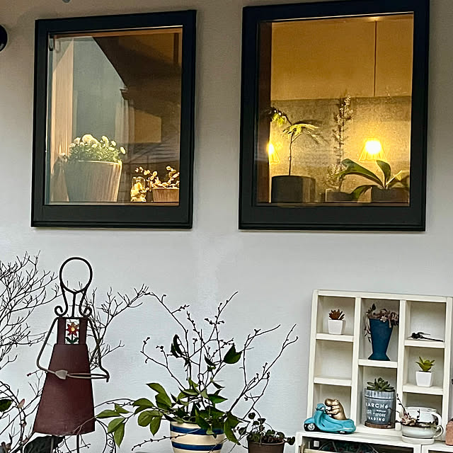 cotaさんの部屋