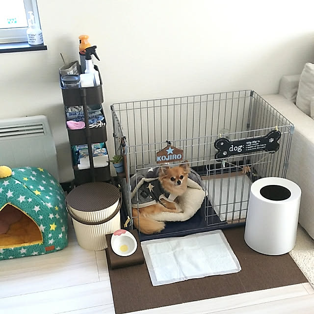 kojikojiさんの実例写真