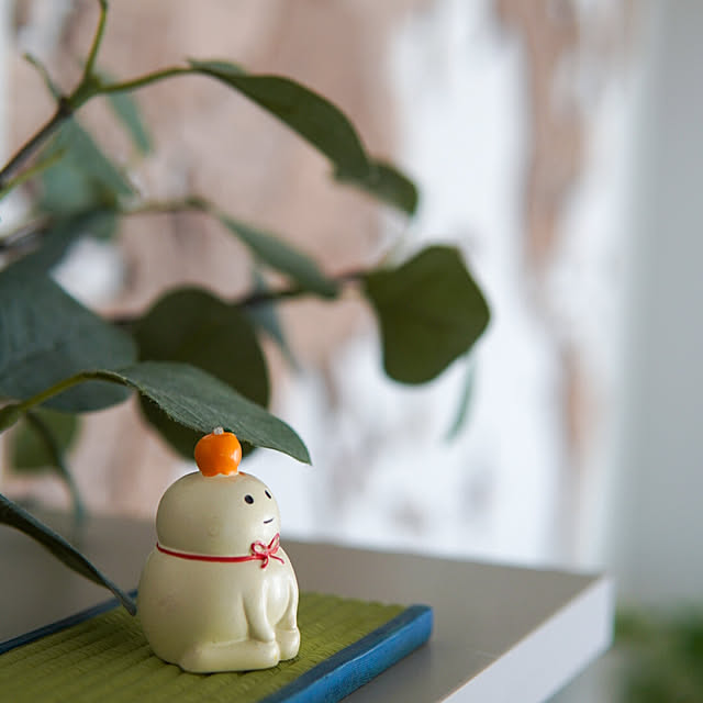 Saraさんの実例写真