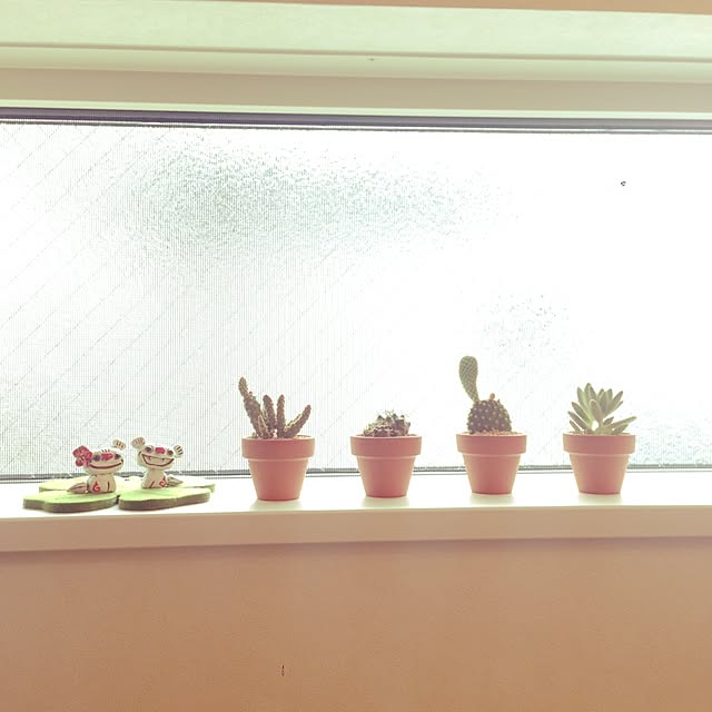 mofumofuさんの実例写真