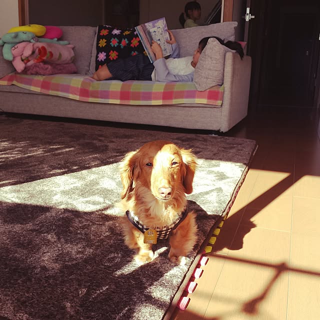 sumireさんの実例写真