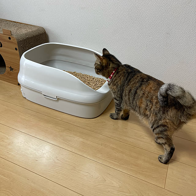 chiiさんの部屋