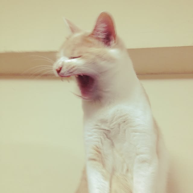 makiさんの実例写真