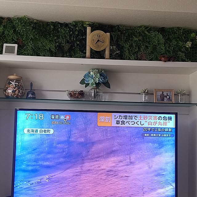 hakata-baさんの部屋