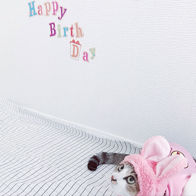 mya___kさんの実例写真