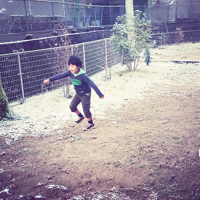 実例写真