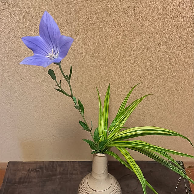 mozukuさんの実例写真