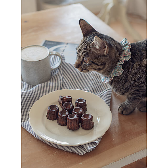 oliveさんの実例写真