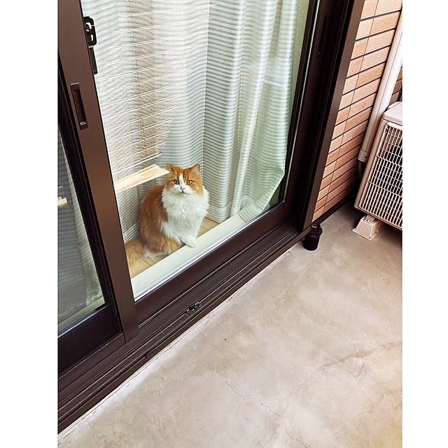 H.Tさんの実例写真