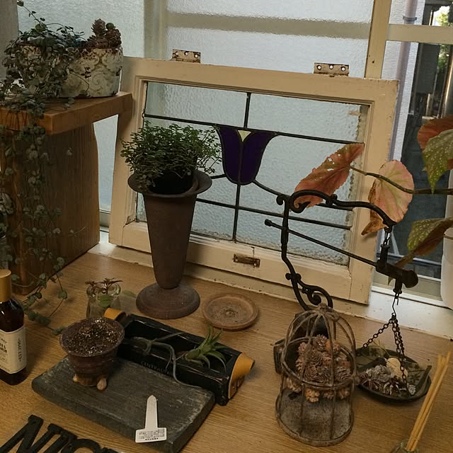 実例写真