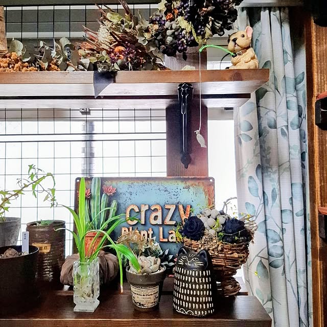 noaさんの実例写真