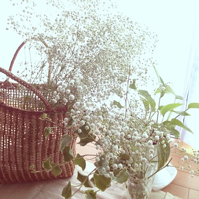 nekoさんの実例写真