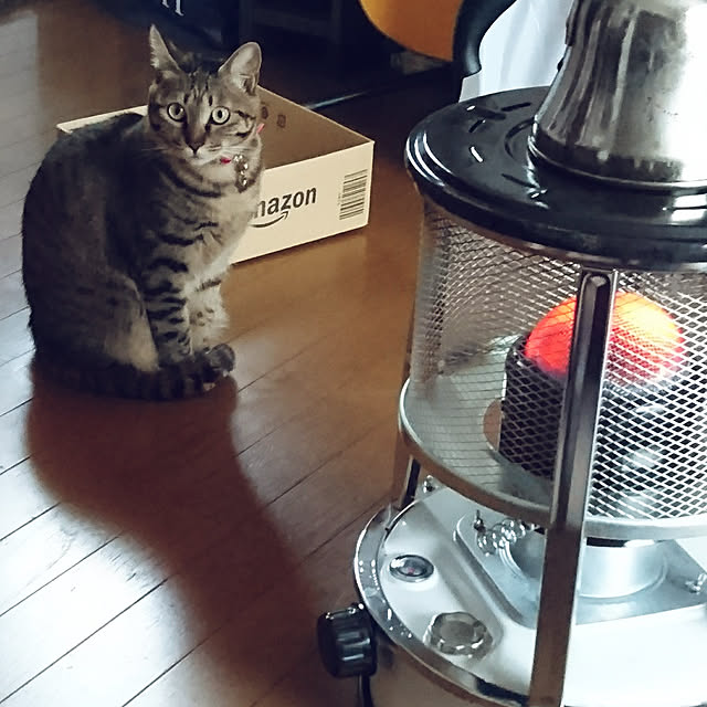 meguさんの実例写真