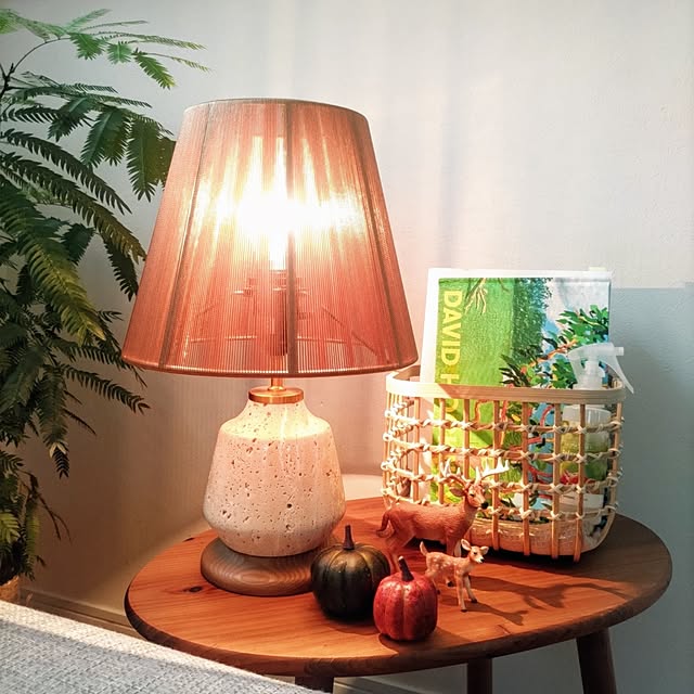 .Haさんの部屋