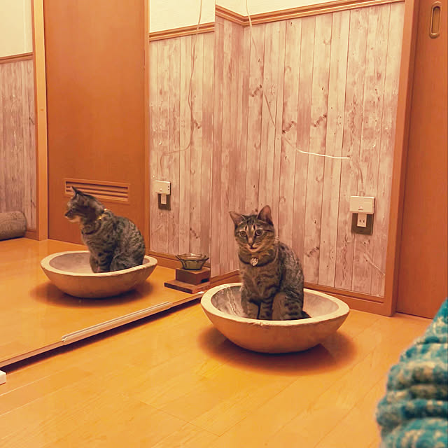 Mさんの実例写真