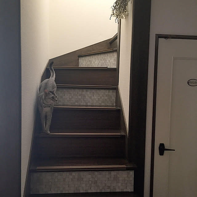 kotoriさんの実例写真