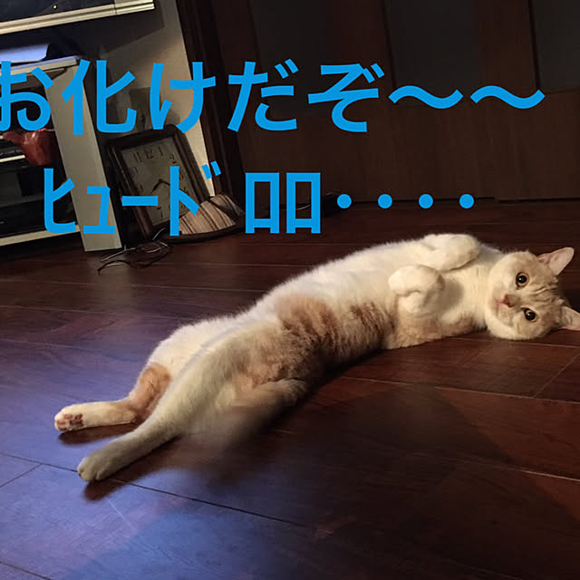 aiaiさんの実例写真