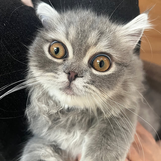 nasuさんの部屋