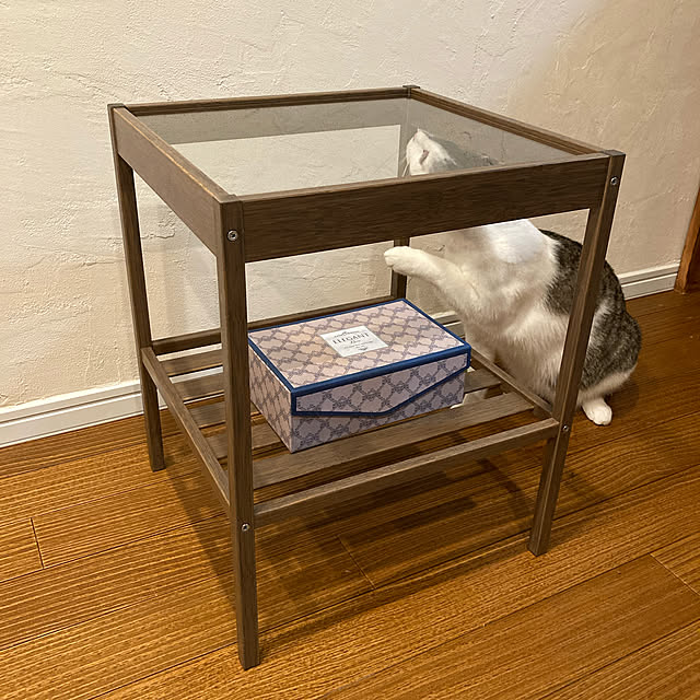tokotokoさんの実例写真