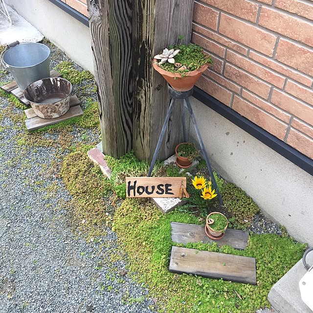 aranさんの実例写真