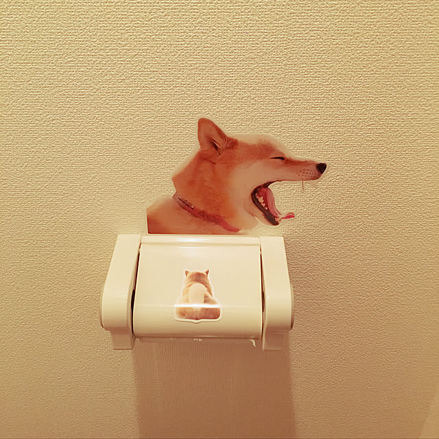 mikamiさんの実例写真