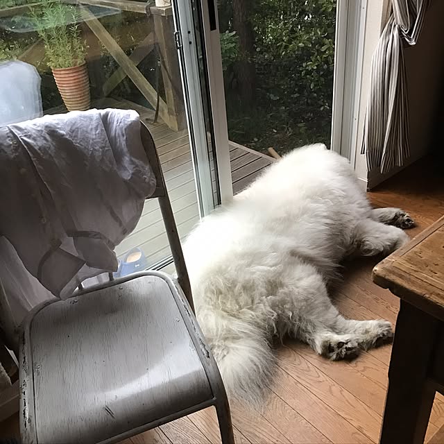 CHIさんの実例写真