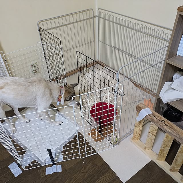 asaさんの部屋