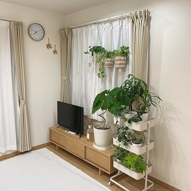 Kanaさんの実例写真