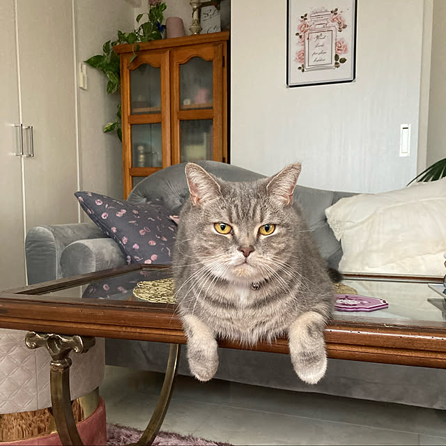 yori_miniさんの実例写真