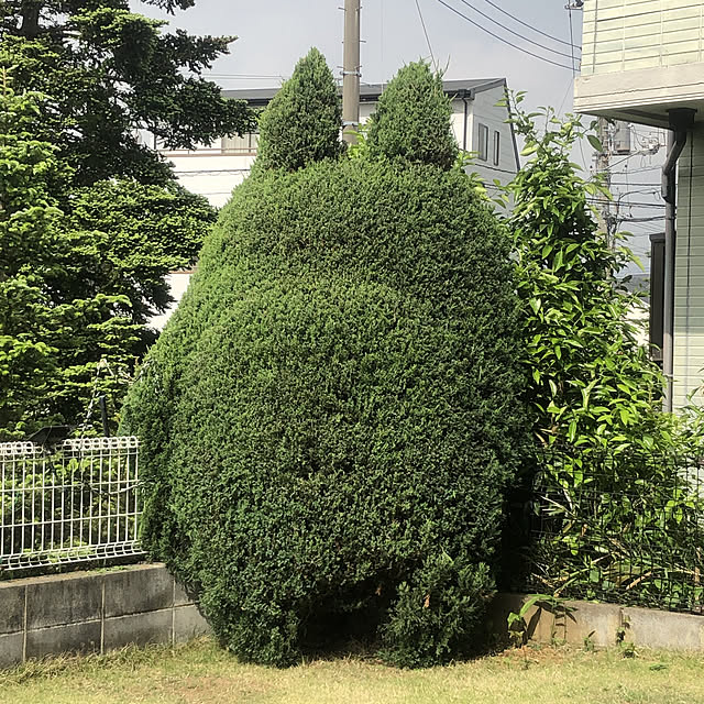 nokkoさんの実例写真