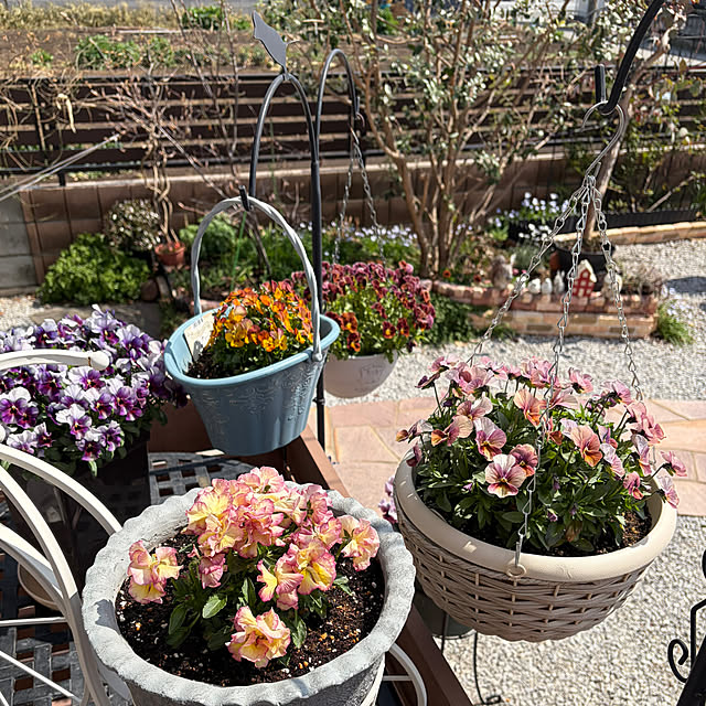 ronronさんの部屋