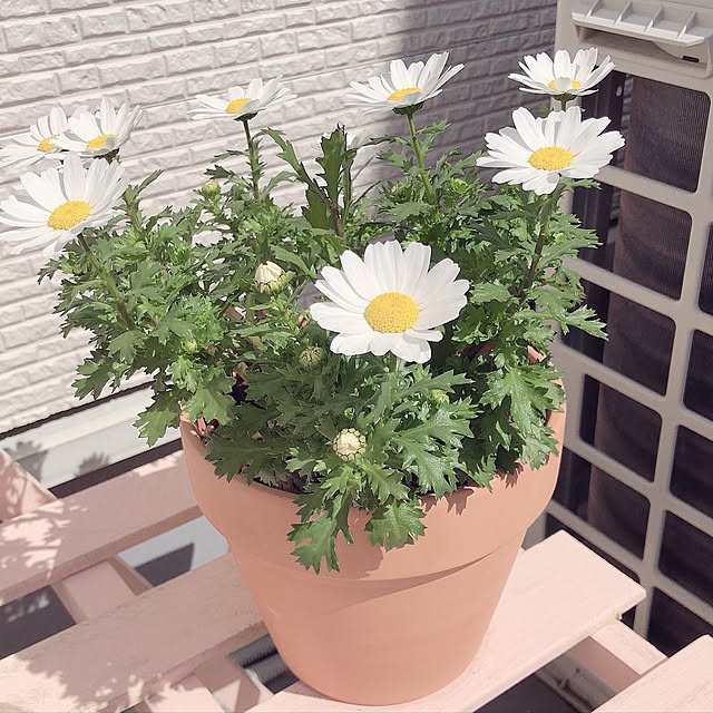 4nさんの実例写真