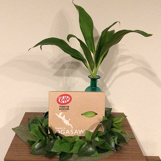 houenさんの部屋