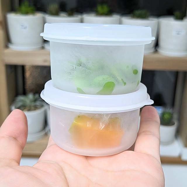 PEROさんの部屋
