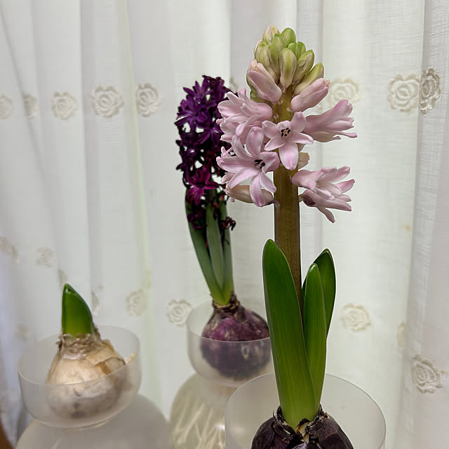 fumikoiさんの部屋