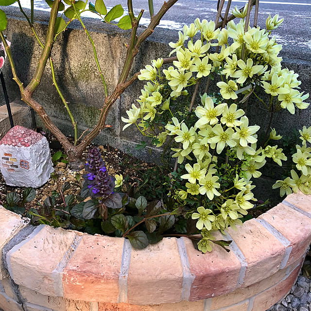 CoffeeHouseさんの実例写真