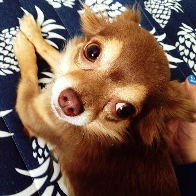 Hanaさんの実例写真