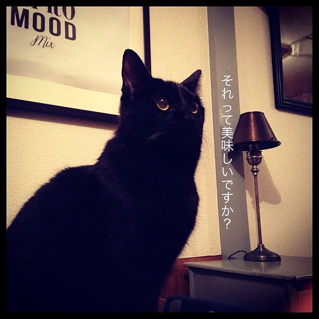 Naoki.さんの実例写真