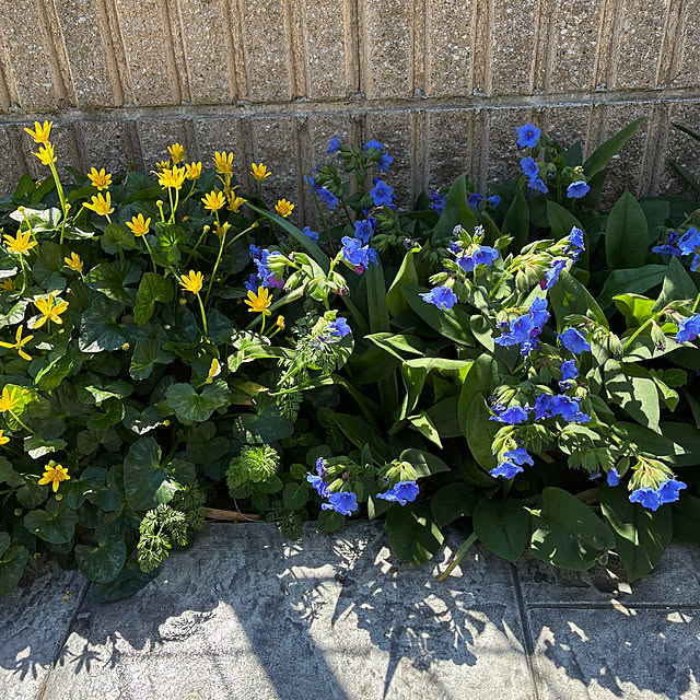 romiromiさんの部屋