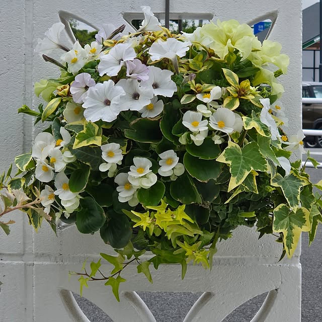 nonbiri_house_さんの実例写真