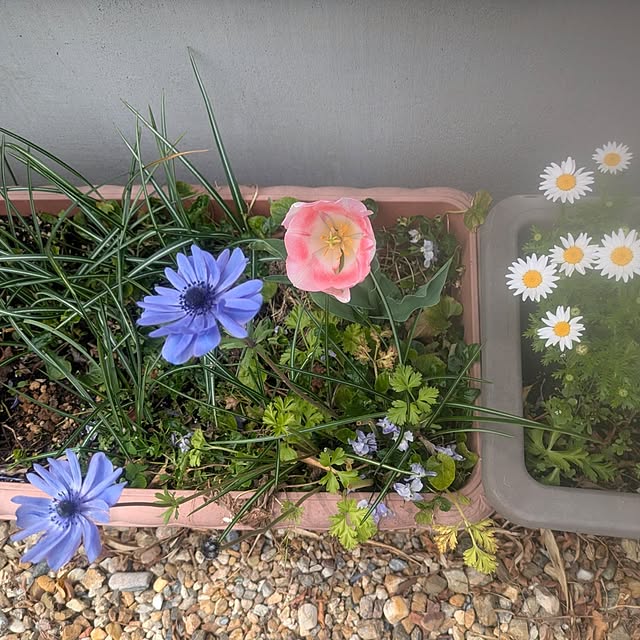 quanshanxia037さんの部屋