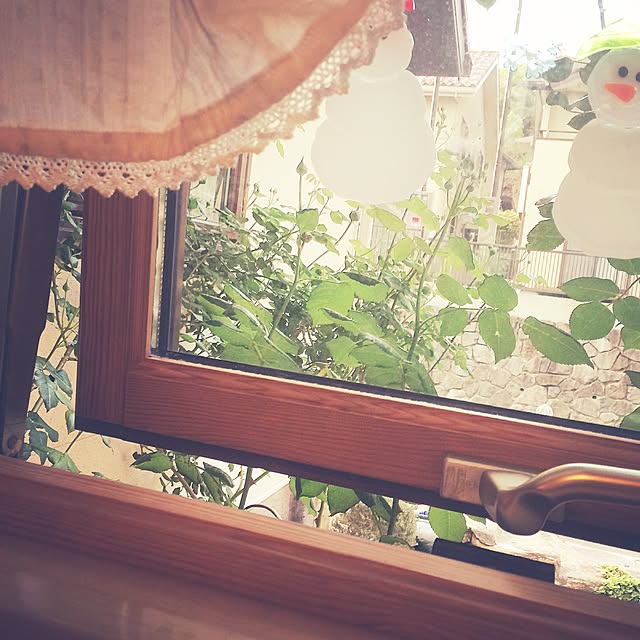 izumiさんの実例写真