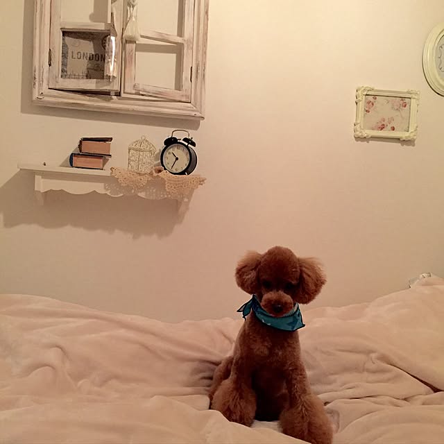 Naomiさんの実例写真